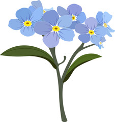 forget me not flower illustration
