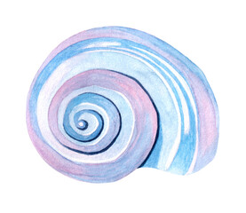 Watercolor seashell. Hand drawn illustration isolated on white background.
