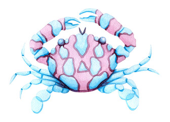 Watercolor crab. Hand drawn illustration isolated on white background.