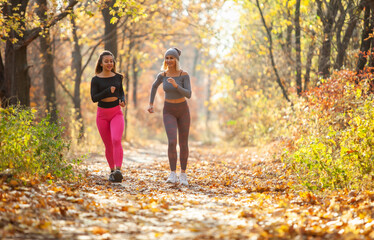 Fototapeta premium Two fitness women in sportswear jogging together in the autumn forest. Active recreation, healthy lifestyle