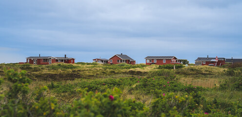 Landscape of Denmark with red wooden houses on a coast meadow
