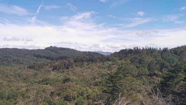 Natural landscape of Santa Elena, Colombia from the Medellin metro cableway. 4k video.