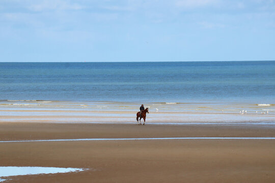 A man rides a horse along the beach in Cabourg