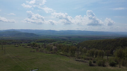 forest in the mountains