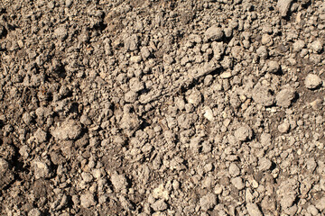 Close-up of organic soil texture.