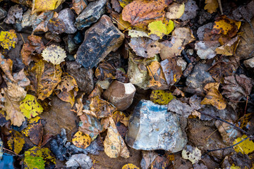 Stones covered with fallen leaves in a forest in nature, searching for stones