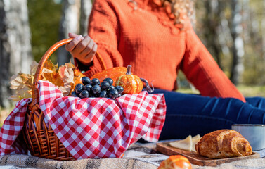 Beautiful woman in red sweater on a picnic in a autumn forest