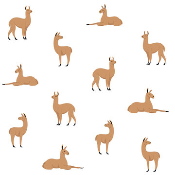 Simple trendy pattern with cartoon lama. Cute vector illustration for prints, clothing, packaging and postcards. © Lili Kudrili