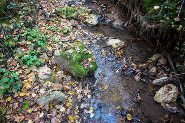Naklejka na ściany i meble The bed of a forest stream with stones, central Russia