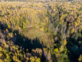 Field in the middle of autumn forest, aerial view