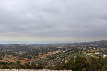 Nature in Ajloun buildings and trees - Jordan