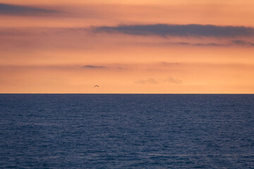 Naklejka premium Early summer in Biarritz, France. Beach, Surfing holidays. Lighthouse, clouds, Ocean, Biscay