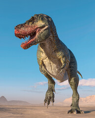 tyrannosaurus is in stand up pose on sunset desert