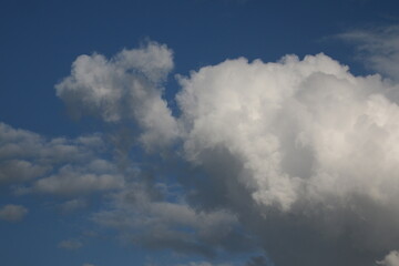 Fototapeta premium cloud turtule