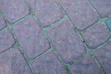 Obraz premium Stone walk path with line