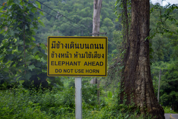 in Thailand