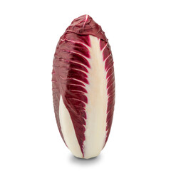 Red chicory, radicchio salad isolated on white, clipping path included