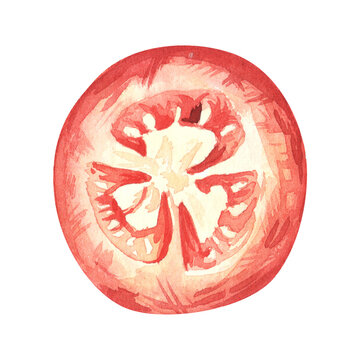 watercolor vegetables illustrations. Fresh organic food. Set of red tomatoes. cute hand drawn