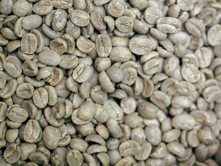 group organic raw green arabica coffee beans from latin america in sackcloth