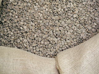 group organic raw green arabica coffee beans from latin america in sackcloth