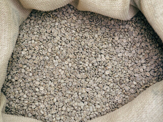 group organic raw green arabica coffee beans from latin america in sackcloth