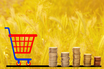 golden fields of ripening wheat, rye, shopping bag, trolley, concept of economic problems, global...
