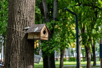 wooden bird house