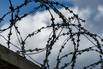 barbed wire fence