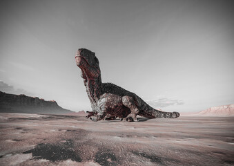giganotosaurus is resting down on sunset desert bottom view