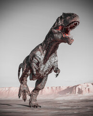 giganotosaurus is running on sunset desert © DM7