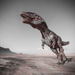 giganotosaurus is walking on sunset desert © DM7