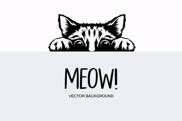 Vector Monochrome Hand Drawm Black, White Hiding Peeking Kitten. Kitten Head with Paws Up Peeking Over Blank White Placard, Poster, Card, Banner. Pet Kitten Curiously Peeking Behind White Background © gomolach