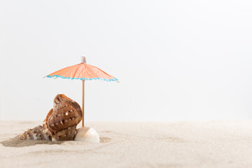 Sea shell on sand and umbrella on white background