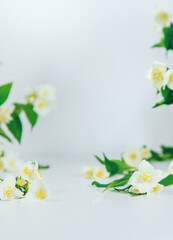 Beautiful light background with jasmine flowers. Place for a subject. Selective focus.