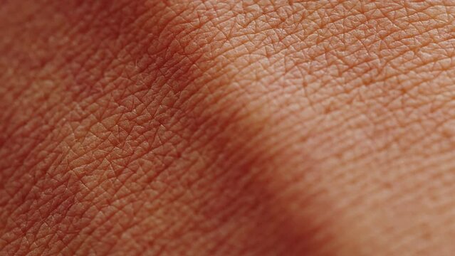 Black skin texture close-up. African American person, hand surface macro shooting, veins and muscles. Body and healthcare, hygiene and medicine concept.