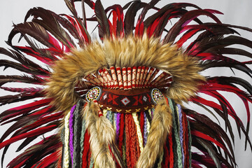 Red Indian Roach isolated on white background.