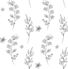 Fototapeta premium Seamless field flowers and grasses elements vector pattern