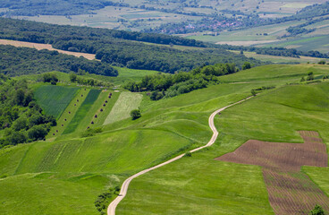 Fototapeta premium Landscape with a dirt road on a field in a rural area