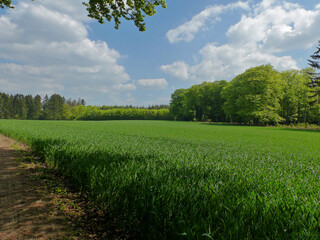 Mullerthal Trail, May 2019 : Big hike in the Mullerthal Trail (or Little Luxembourg Switzerland) located in the Luxembourg Ardennes