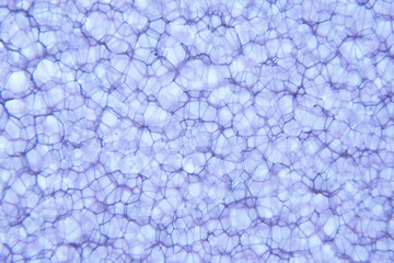 Background blue abstract. Background dark gradient