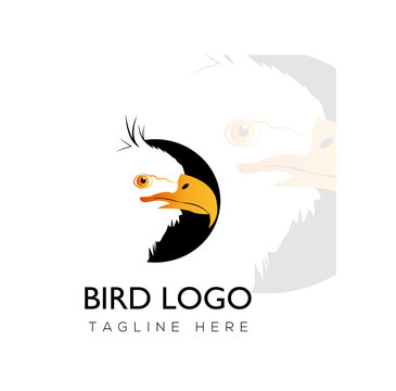 Eagle Head Mascot Vector Illustration Logo