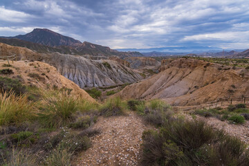 Tabernas Desert (Almeria, Spain)