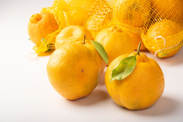Ponkan oranges loose and in a net, on white background, selective focus.