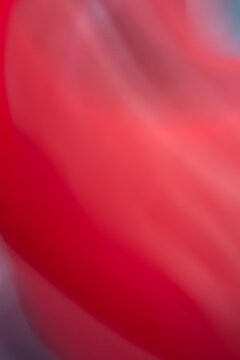 Abstract Background In Red Burgundy Tone. Gradient With Waves. Vertical Banner. Backdrop