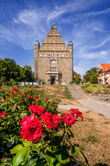 Toruń beautiful Polish old city © Darek Bednarek