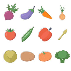 Vector set with vegetables. Eggplant, beetroot, potatoes, peas, onions, tomatoes, cabbage, broccoli, asparagus, carrots, peppers, pumpkin