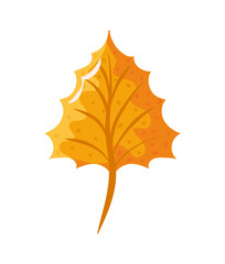 autumn leaf isolated