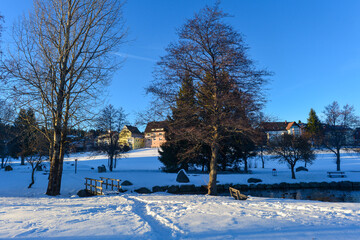 Schönwald im Schwarzwald