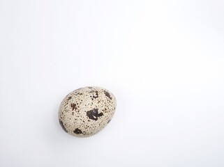 One quail egg with a lot of imperfect dark spots on a smooth, ideal oval surface of a healthy non cholesterol bio product.