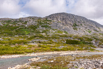 Skagway, Alaska, USA - July 20, 2011: Klondike highway to Canada. Fast flowing creek meanders over rocks with sparse green vegetation in high desert under blue cloudscape.